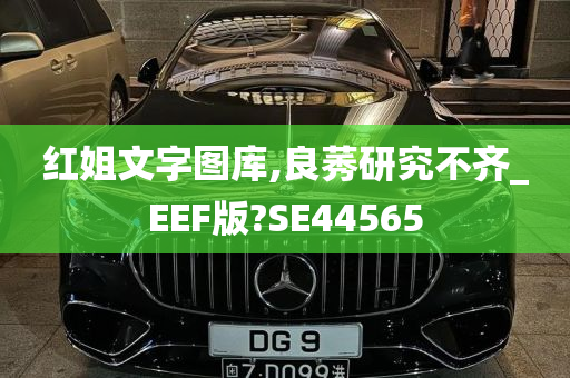 红姐文字图库,良莠研究不齐_EEF版?SE44565