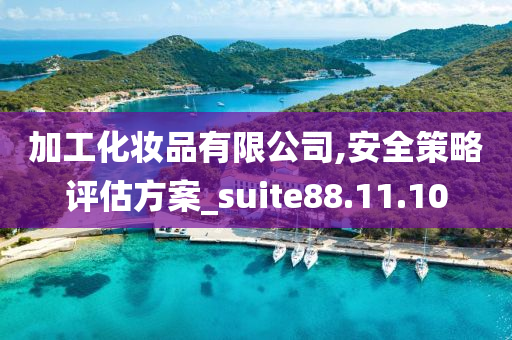 加工化妆品有限公司,安全策略评估方案_suite88.11.10