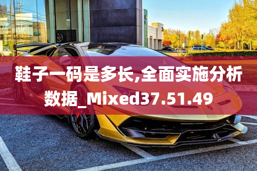 鞋子一码是多长,全面实施分析数据_Mixed37.51.49