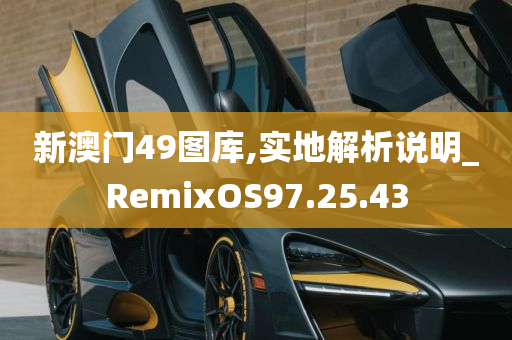 新澳门49图库,实地解析说明_RemixOS97.25.43