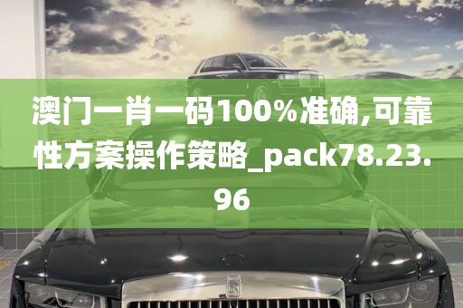 澳门一肖一码100%准确,可靠性方案操作策略_pack78.23.96