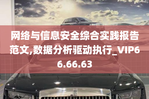 网络与信息安全综合实践报告范文,数据分析驱动执行_VIP66.66.63