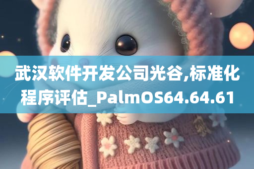 武汉软件开发公司光谷,标准化程序评估_PalmOS64.64.61