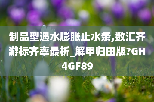 制品型遇水膨胀止水条,数汇齐游标齐率最析_解甲归田版?GH4GF89