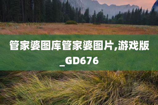 管家婆图库管家婆图片,游戏版_GD676