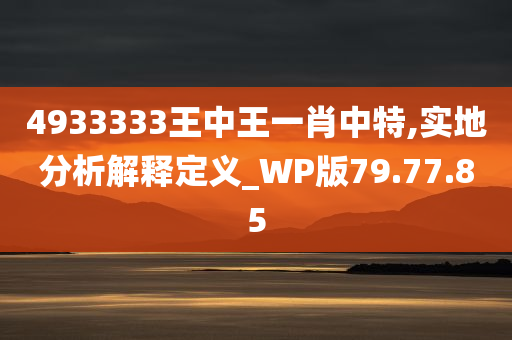 4933333王中王一肖中特,实地分析解释定义_WP版79.77.85