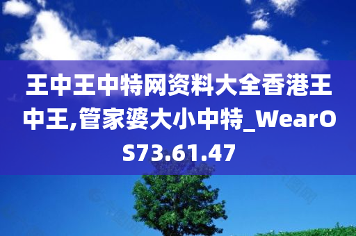 王中王中特网资料大全香港王中王,管家婆大小中特_WearOS73.61.47