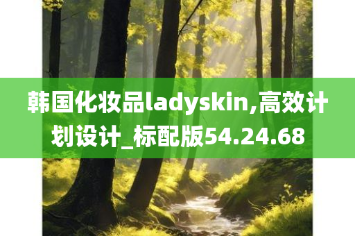 韩国化妆品ladyskin,高效计划设计_标配版54.24.68