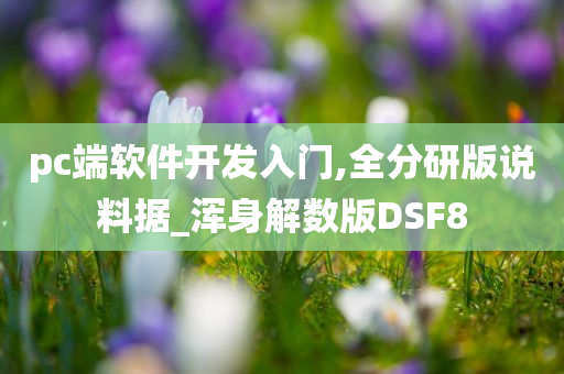 pc端软件开发入门,全分研版说料据_浑身解数版DSF8