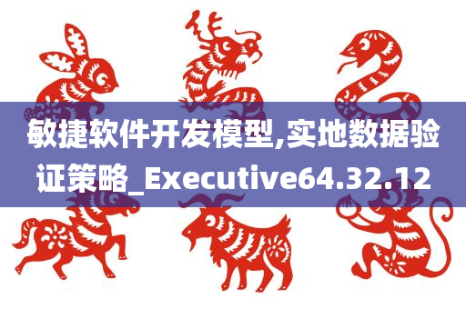 敏捷软件开发模型,实地数据验证策略_Executive64.32.12