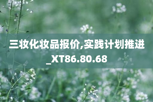 三妆化妆品报价,实践计划推进_XT86.80.68