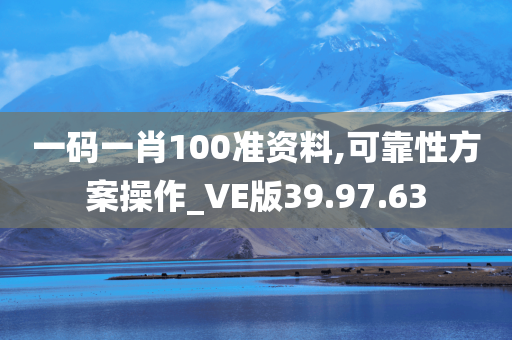 一码一肖100准资料,可靠性方案操作_VE版39.97.63