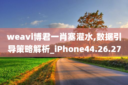 weavi博君一肖塞灌水,数据引导策略解析_iPhone44.26.27