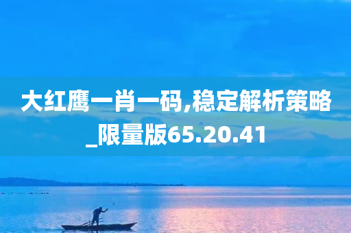 大红鹰一肖一码,稳定解析策略_限量版65.20.41