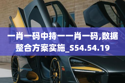 一肖一码中持一一肖一码,数据整合方案实施_S54.54.19