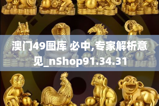 澳门49图库 必中,专家解析意见_nShop91.34.31