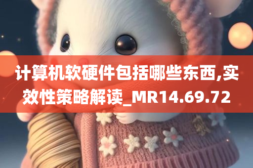 计算机软硬件包括哪些东西,实效性策略解读_MR14.69.72