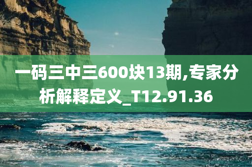 一码三中三600块13期,专家分析解释定义_T12.91.36