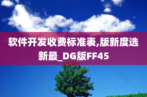 软件开发收费标准表,版新度选新最_DG版FF45