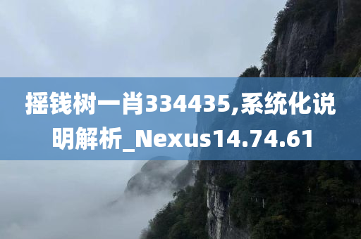 摇钱树一肖334435,系统化说明解析_Nexus14.74.61