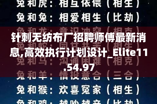 针刺无纺布厂招聘师傅最新消息,高效执行计划设计_Elite11.54.97