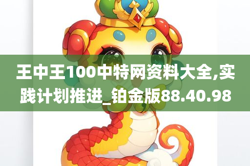 王中王100中特网资料大全,实践计划推进_铂金版88.40.98