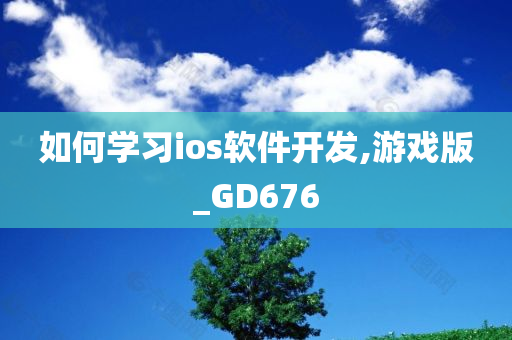 如何学习ios软件开发,游戏版_GD676