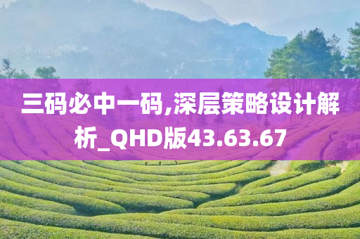 三码必中一码,深层策略设计解析_QHD版43.63.67