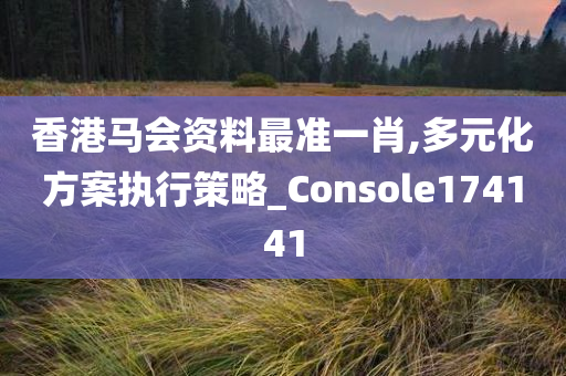 香港马会资料最准一肖,多元化方案执行策略_Console174141