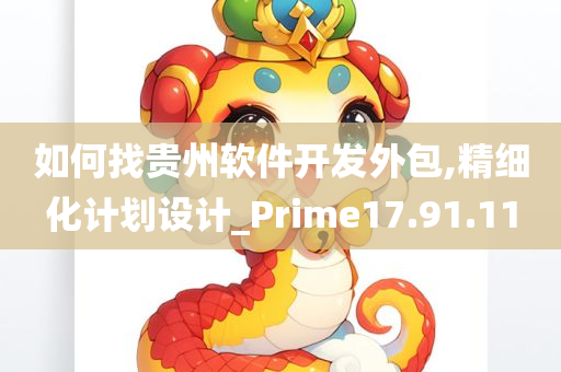 如何找贵州软件开发外包,精细化计划设计_Prime17.91.11