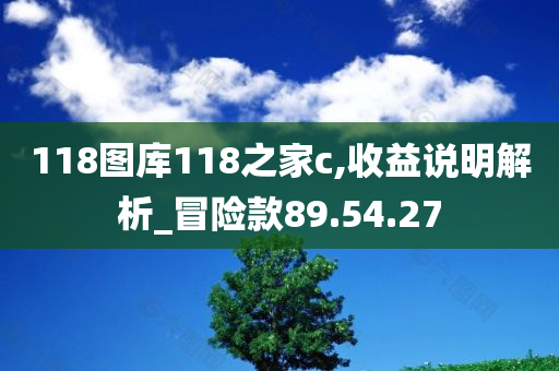 118图库118之家c,收益说明解析_冒险款89.54.27