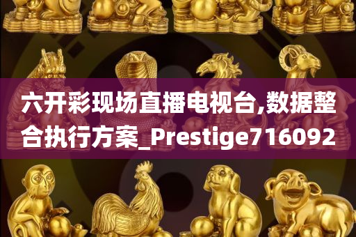 六开彩现场直播电视台,数据整合执行方案_Prestige716092