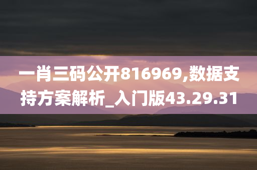 一肖三码公开816969,数据支持方案解析_入门版43.29.31