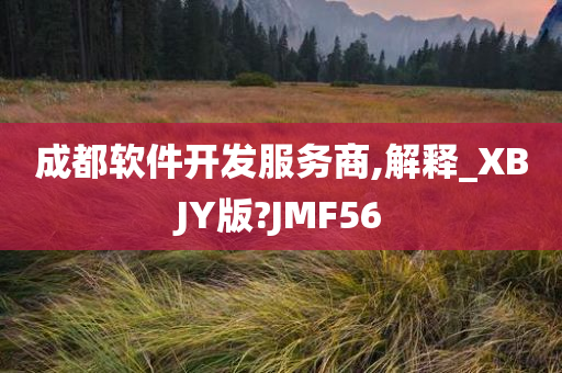 成都软件开发服务商,解释_XBJY版?JMF56