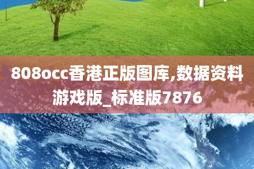 808occ香港正版图库,数据资料游戏版_标准版7876