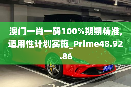 澳门一肖一码100%期期精准,适用性计划实施_Prime48.92.86