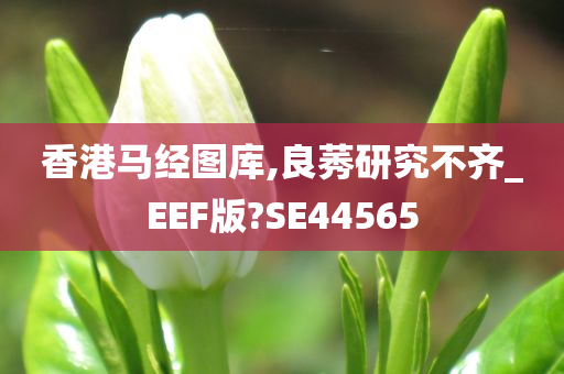 香港马经图库,良莠研究不齐_EEF版?SE44565