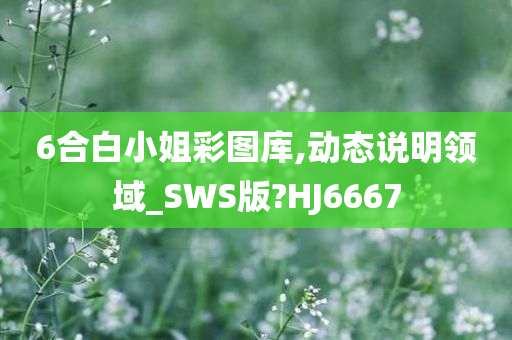 6合白小姐彩图库,动态说明领域_SWS版?HJ6667