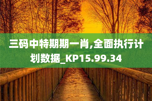 三码中特期期一肖,全面执行计划数据_KP15.99.34