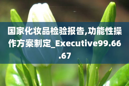 国家化妆品检验报告,功能性操作方案制定_Executive99.66.67