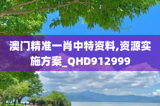 澳门精准一肖中特资料,资源实施方案_QHD912999