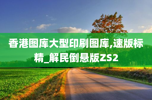 香港图库大型印刷图库,速版标精_解民倒悬版ZS2