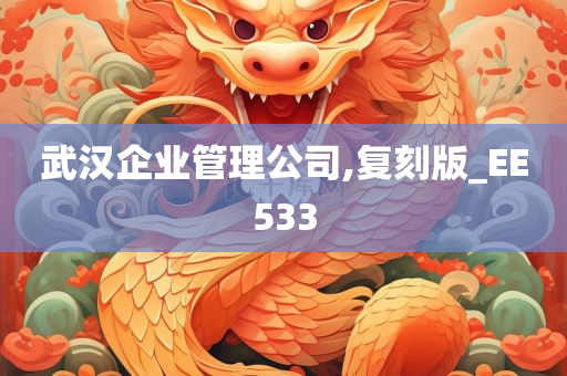 武汉企业管理公司,复刻版_EE533