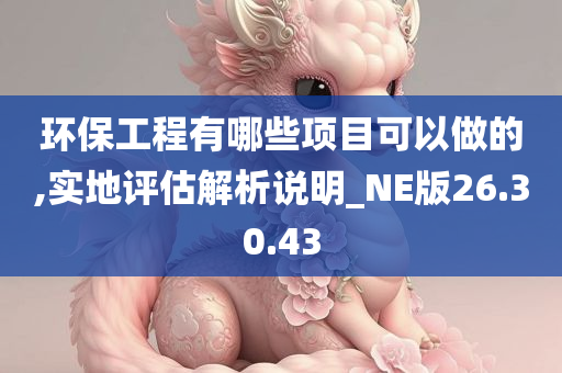 环保工程有哪些项目可以做的,实地评估解析说明_NE版26.30.43