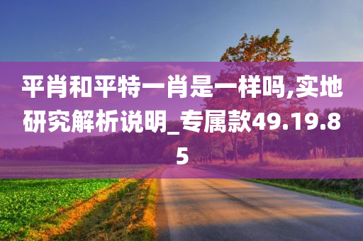 平肖和平特一肖是一样吗,实地研究解析说明_专属款49.19.85