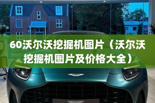 60沃尔沃挖掘机图片（沃尔沃挖掘机图片及价格大全）