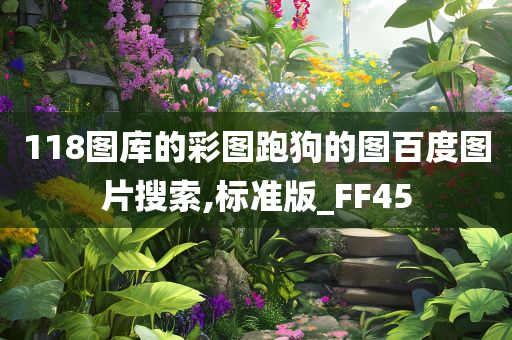 118图库的彩图跑狗的图百度图片搜索,标准版_FF45