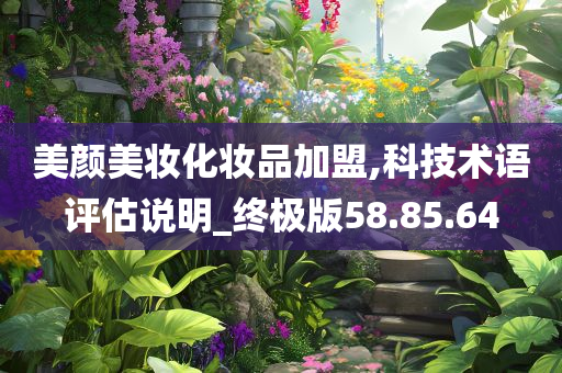 美颜美妆化妆品加盟,科技术语评估说明_终极版58.85.64