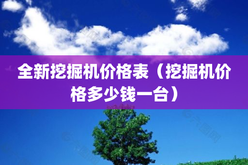 全新挖掘机价格表（挖掘机价格多少钱一台）