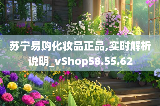 苏宁易购化妆品正品,实时解析说明_vShop58.55.62